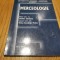 MERCEOLOGIE - Dorina Stanescu, Oana L. Voicu - Oscar Print, 2005, 128 p.