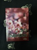 Ana Aurora Sumca - O carte vindecatoare