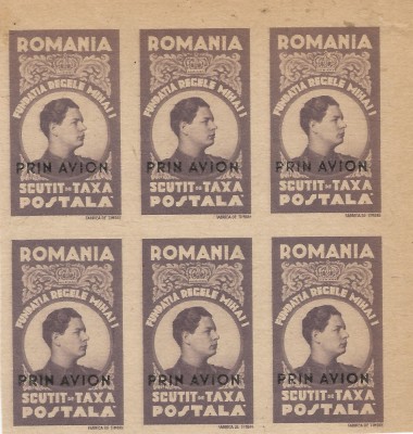 Romania, LP V.7c/1947, Fundatia Carol-supr. negru, h. gri, nedant., bloc 6, MNH foto