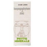 Harpagophytum si Zinc Medica 60cps, Medica Farmimpex
