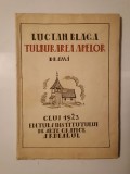 Lucian Blaga - Tulburarea apelor (dramă) (1923; desene de A. Demian)