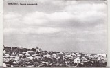 bnk cp Dorohoi - Vedere panoramica - circulata