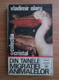 Vladimir Olaru - Din tainele migratiei animalelor