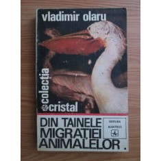 Vladimir Olaru - Din tainele migratiei animalelor