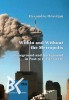Within and Without the Metropolis. Foreground and Background in Post-9/11 Literature &ndash; Alexandru Oravitan