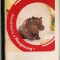 Catalog SCHLEICH 2013 Anywhere&#039;s a Playground