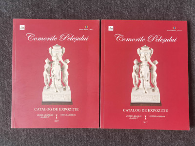 Comorile Pelesului - Catalog de expozitie. 2017 foto