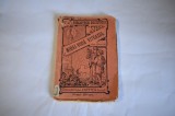 Alex. Lapedatu - Din zilele de cadere ale lui Mihai-Voda Viteazul (Biblioteca Steaua Sfetea)