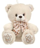 Ursulet Plus Bej Catifelat 27cm cu Fundita Brodata - Jucarie Copii Moale 3 ani+