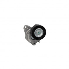 Intinzator curea MERCEDES-BENZ GL-CLASS X164 DAYCO APV2788