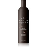 John Masters Organics Honey &amp; Hibiscus Conditioner balsam pentru regenerare pentru par deteriorat 473 ml