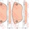 Set placute frana,frana disc FIAT 500 C (312) (2009 - 2016) TRW GDB1750