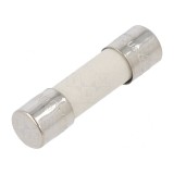 Siguranță &Icirc;nt&acirc;rziată 3,15A 500VAC 5x20mm