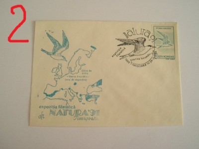 D11 - 1991 - tematica natura - pasari - Romania foto