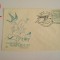 D11 - 1991 - tematica natura - pasari - Romania