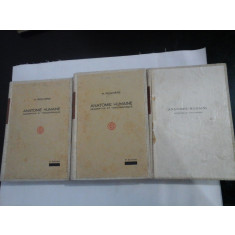 ANATOMIE HUMAINE - H. ROUVIERE - (3 VOL)
