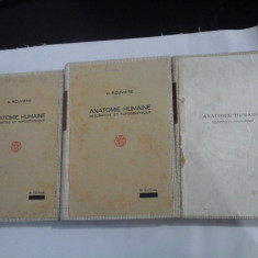 ANATOMIE HUMAINE - H. ROUVIERE - (3 VOL)