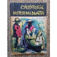 Brian Fawcett - Călătorie neterminată