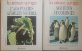 Les Animaux Savage Societes Et Colonies de Laure Flavigny, Catherine Nicolle, 1993