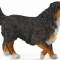 Figurina Ciobanesc de Bernese L Collecta