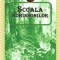 Scoala Robinsonilor - Jules Verne