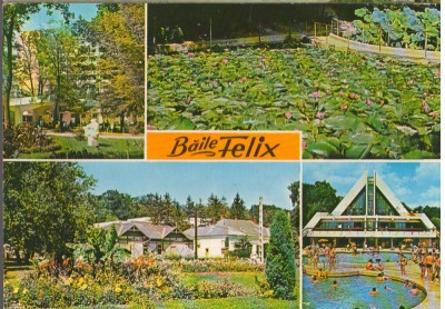 CPIB 15189 - CARTE POSTALA - BAILE FELIX, MOZAIC foto
