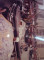 Foto  - 8