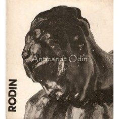 Rodin - George Popa
