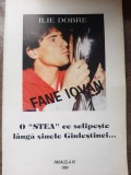 Fane Iovan, o stea ce sclipeste langa sinele Giulestiului - Ilie Dobre