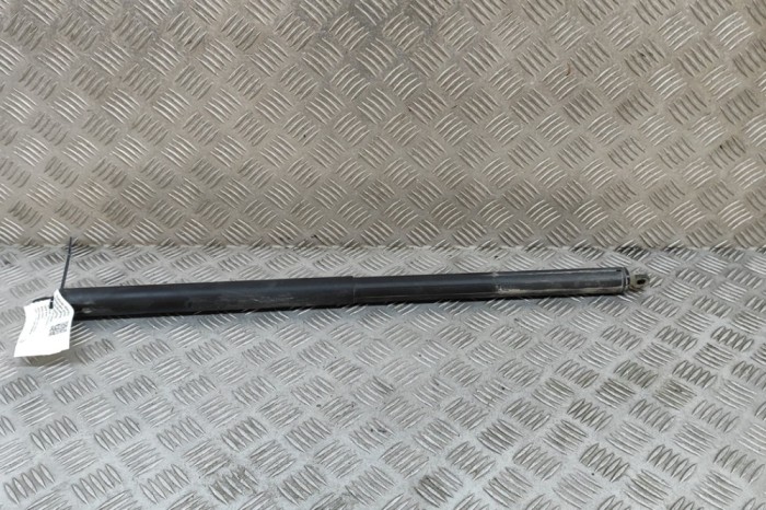 Amortizor haion dreapta TESLA MODEL X 2018 OEM: 1065669-00-A 30379533