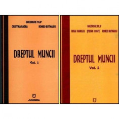 Gheorghe Filip, Cristina Badea, Romeo Butnariu - Dreptul muncii vol.I-II - 102789