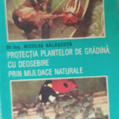 PROTECTIA PLANTELOR DE GRADINA CU DEOSEBIRE PRIN MIJLOACE NATURALE de NICOLAE B.