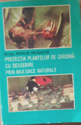 PROTECTIA PLANTELOR DE GRADINA CU DEOSEBIRE PRIN MIJLOACE NATURALE de NICOLAE B. foto