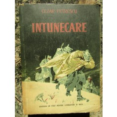 INTUNECARE-CEZAR PETRESCU