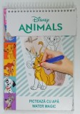 DISNEY ANIMALS, PICTEAZA CU APA , WATER MAGIC , ANII &#039; 2000 , LIPSA MARKER