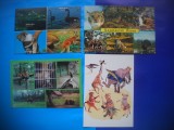 HOPCT LOT NR 473 ANIMALE WW -FAUNA-4 CARTI POSTALE-NECIRCULATE