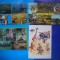 HOPCT LOT NR 473 ANIMALE WW -FAUNA-4 CARTI POSTALE-NECIRCULATE