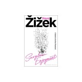 Surplus-Enjoyment: A Guide for the Non-Perplexed