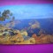 HOPCT 8170 MARELE CANION ARIZONA -SUA-AMERICA DE NORD -NECIRCULATA-