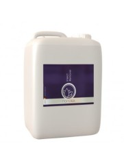 Solutie Indepartare Insecte Nanolex Insect Remover, 5L foto