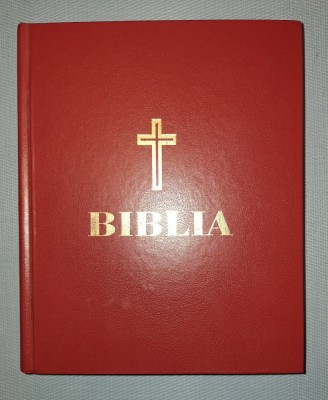 BIBLIA ANANIA (2009) foto