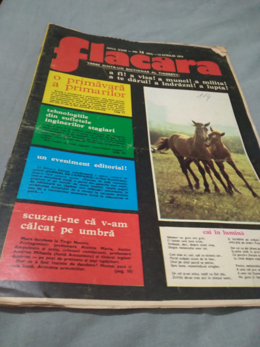 REVISTA FLACARA 13 APRILIE 1974