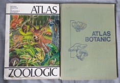 Constantin Bogoescu - Atlas zoologic (1979) + Lucia Popovici Atlas botanic 1985 foto