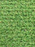 NATURA, Covor Gazon Iarba Artificiala, Verde, 10 mm, Latime 2 m - 200x400