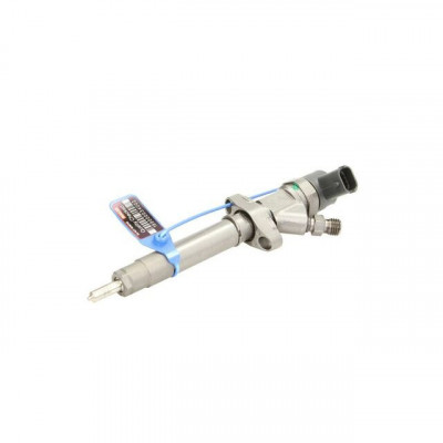 Injector NISSAN INTERSTAR caroserie X70 BOSCH 0445110141 foto