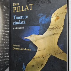 Tinerete ciudata si alte scrieri - Dinu Pillat EDITURA HUMANITAS