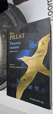 Tinerete ciudata si alte scrieri - Dinu Pillat EDITURA HUMANITAS foto