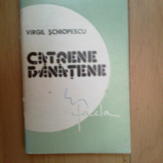 d9 Catrene Banatene - Virgil Schiopatescu
