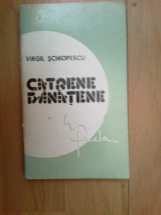 d9 Catrene Banatene - Virgil Schiopatescu