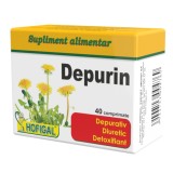 Depurin, 40 comprimate, Hofigal